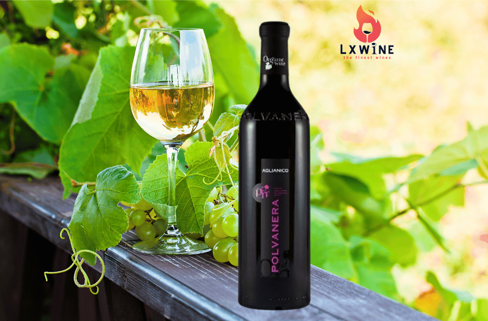 vang Organic Polvanera Aglianico